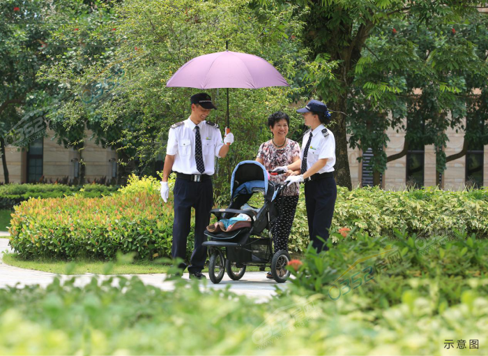 05145858c4e213c7411569.png 鍥剧墖9.png