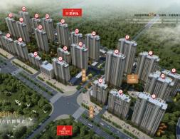 ǰ����Է��������