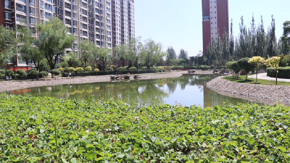 鍥?灄.png 鍥?灄.png