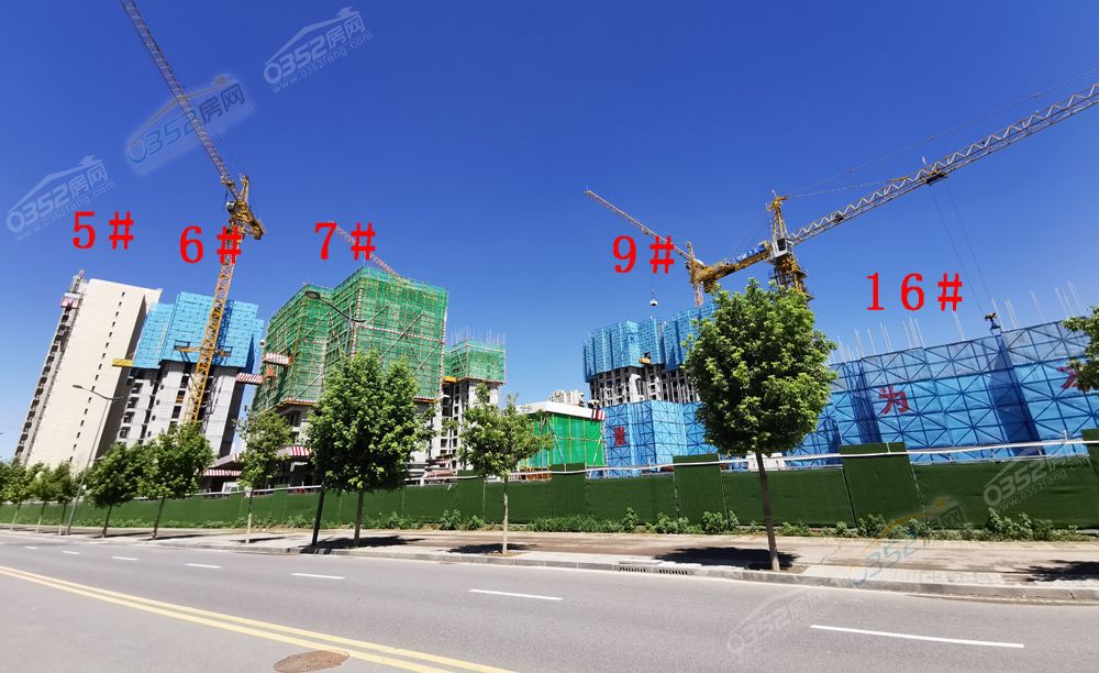 柒玺2.jpg 柒玺2.jpg