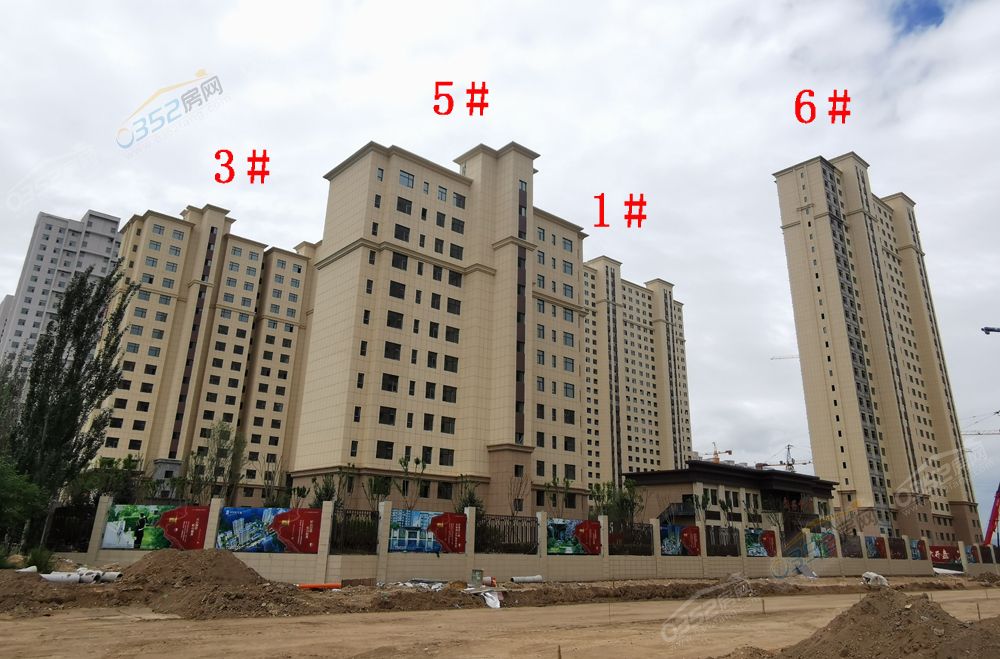 文兴首席.jpg 文兴首席.jpg