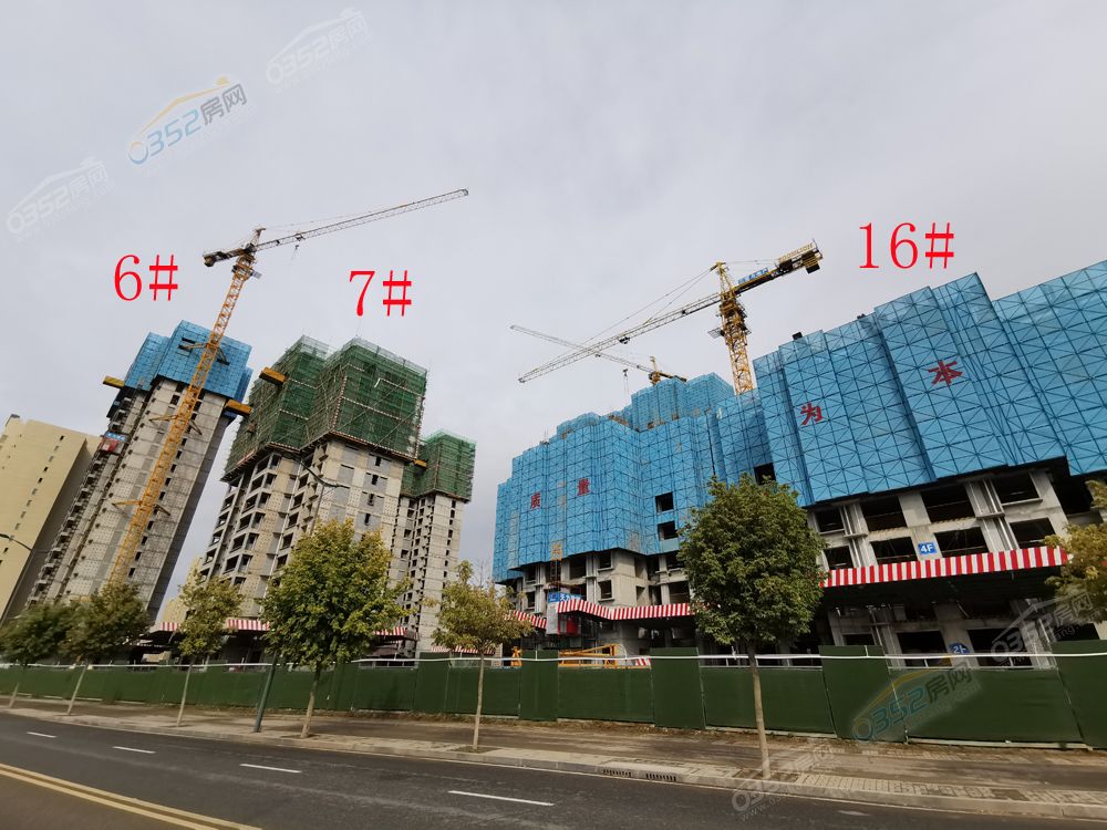 柒玺2.jpg 柒玺2.jpg