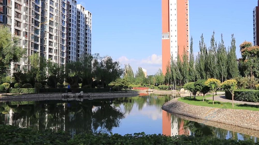 8d664859fb5556235c3b95d10daf368.jpg 8d664859fb5556235c3b95d10daf368.jpg