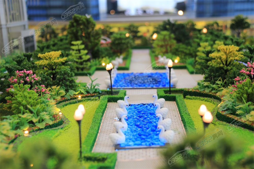 IMG_2385.JPG IMG_2385.JPG