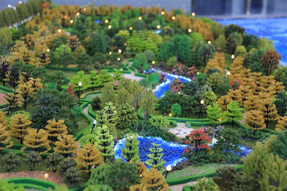 IMG_2350.JPG IMG_2350.JPG