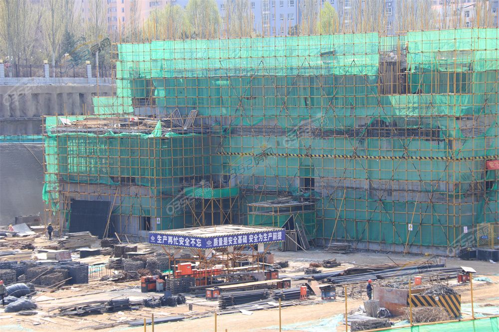 IMG_2366.JPG IMG_2366.JPG