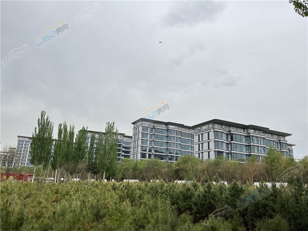 wenyingyulongt.jpg wenyingyulongt.jpg