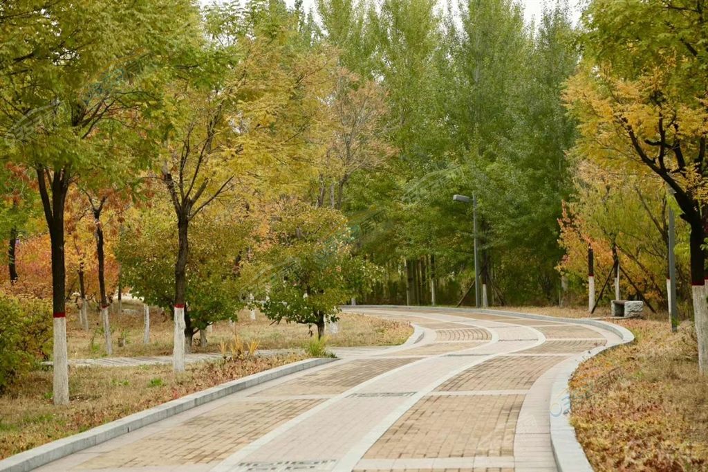 鍏?洯.jpeg 鍏?洯.jpeg