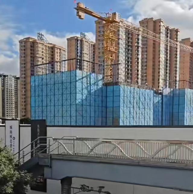 20249ʵͼ
